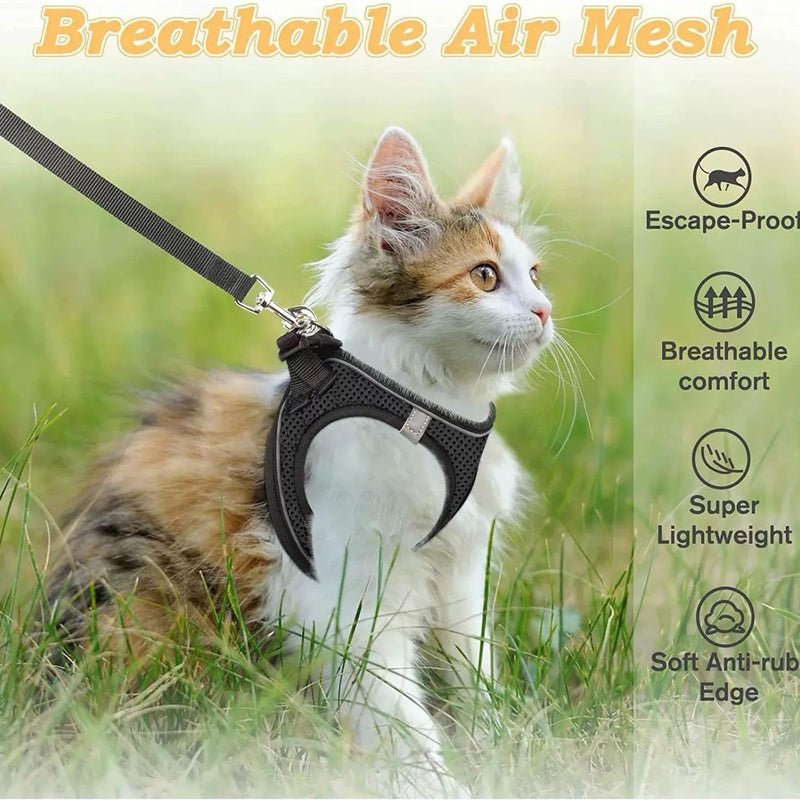 Cat Harness – Escape Proof Soft Mesh Vest for Indoor Cats, Side-Through No-Pull Design, Adjustable & Lightweight with Reflective Strips (Black, L) - PawsPlanet Australia