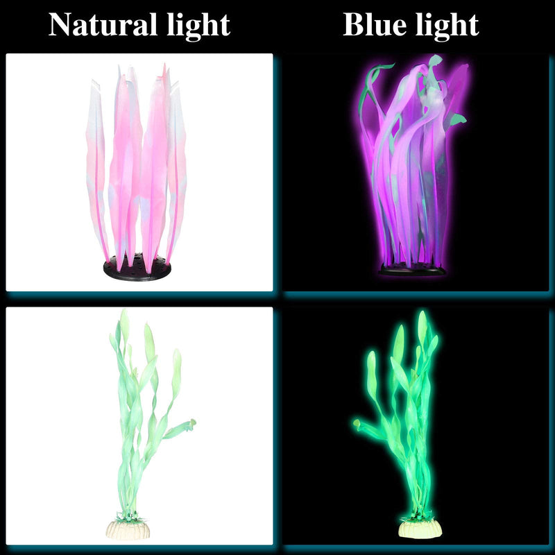 Frienda 8 Pieces Glowing Fish Tank Decorations Plants with 2 Style Glowing Kelp, Sea Anemone, Simulation Coral, Jellyfish, Lotus Leaf, Mushroom for Aquarium Fish Tank Glow Ornament - PawsPlanet Australia
