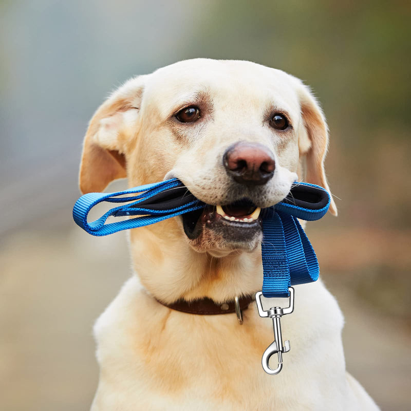 Amylove 12 Pack Dog Leash Bulk, Double Sided Reflective, Nylon Leashes with Padded Handle for Small, Medium, and Large Dogs, 5 Feet Long, Puppy Leashes for Walking and Training - PawsPlanet Australia