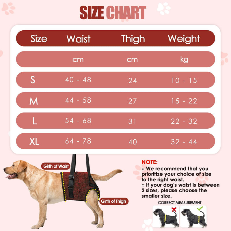 Eyein Adjustable Dog Lifting Harness - Comfortable Dog Sling Hip Support for Back Legs, Soft Hind Assistance Vest for Senior, Injured, Arthritic, Disabled and Aid After Acl Surgery(Red,XL) XL Red