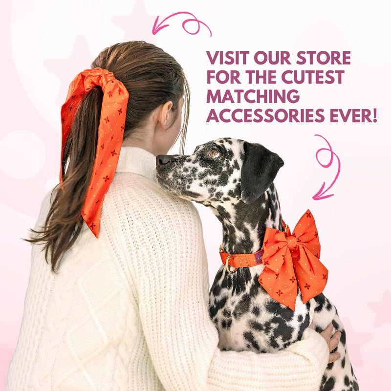 LunaMarie - Luxury Pet Birthday Bandanas -Premium & Silky Poly Fabric | 100% Handmade | Custom Shape Dual Layered (Birthday Girl, X-Small)