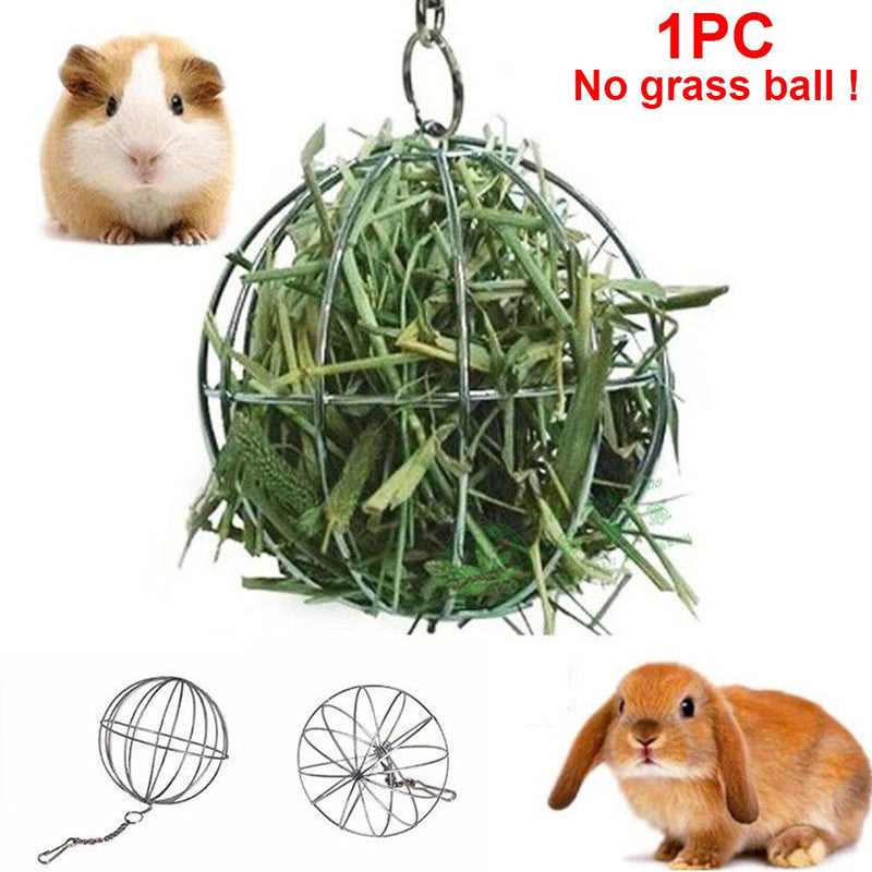 UXELY Metal Food-Ball, Guinea Pig Hay Feeder, 8/13cm Feed Ball for Rodents, Rabbit Grass Manger Holder Feeding Dispenser for Bunny, Stainless Steel Frame - PawsPlanet Australia