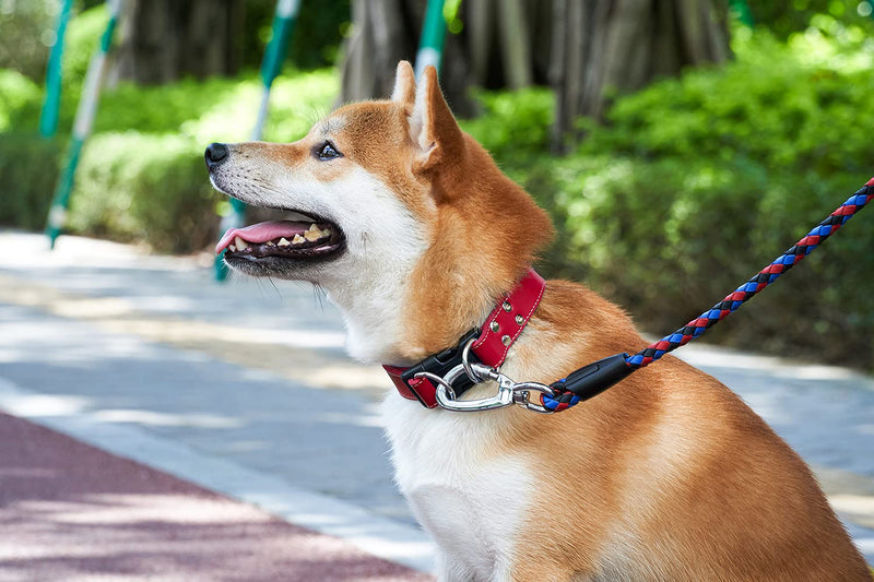Soft Leather Dog Collar Adjustable Size Suitable for Large Medium and Small Dogs Running and Walking.Black/Coffee/Red /Blue (Red, S 10"-13" W 3/4") Red S 10"-13" W 3/4" - PawsPlanet Australia