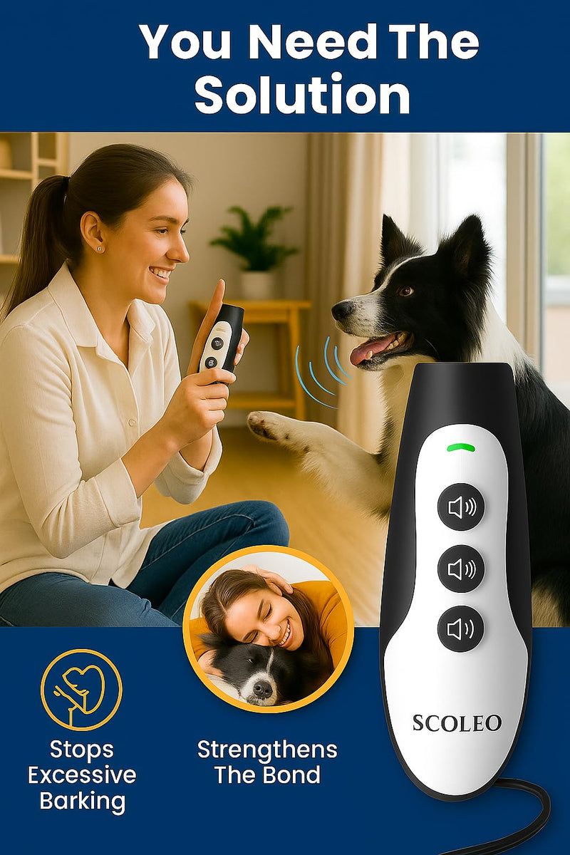 Anti Barking Device for Dogs - Ultrasonic Dog Trainer with VF Tech, 3 Modes Bark Control, Rechargeable Dog Bark Deterrent for Behavior Correction - Indoor & Outdoor Use White & Black - PawsPlanet Australia
