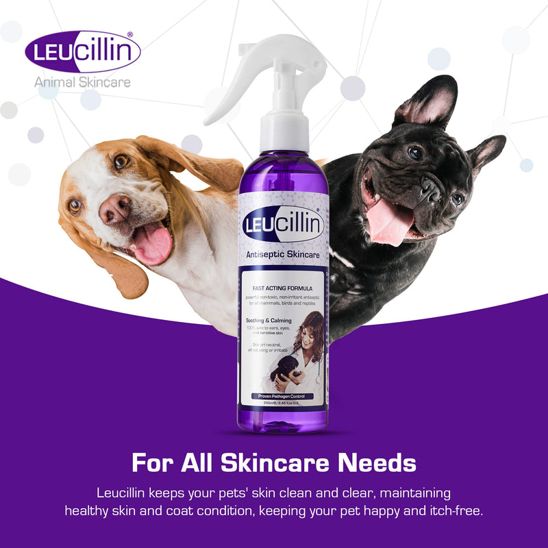Leucillin Natural Antiseptic Spray - Antibacterial Antifungal Antiviral for Dogs Cats All Animals Itchy Skin Minor Wound Care and Skin Health | 500ml 500 ml (Pack of 1) - PawsPlanet Australia