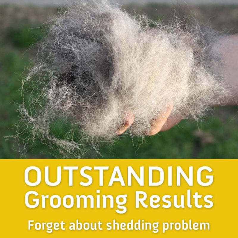 Premium 3-in-1 Dog Brush & Cat Brush (Double-Sided) - Effective Dematting Comb & Undercoat Brush Against Tangles - Safe Fur Changing Aid with Wooden Handle for Dogs & Cats - PawsPlanet Australia