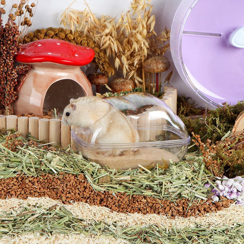Hamster Small Animal Sand Bath Box Bathtub Critter's Bathroom with Bath Sand and Scoop Accessories for Mice Hedgehog Lemming Gerbils or Other Small Pets (Medium) +200g Sand+1 Spoon Medium - PawsPlanet Australia