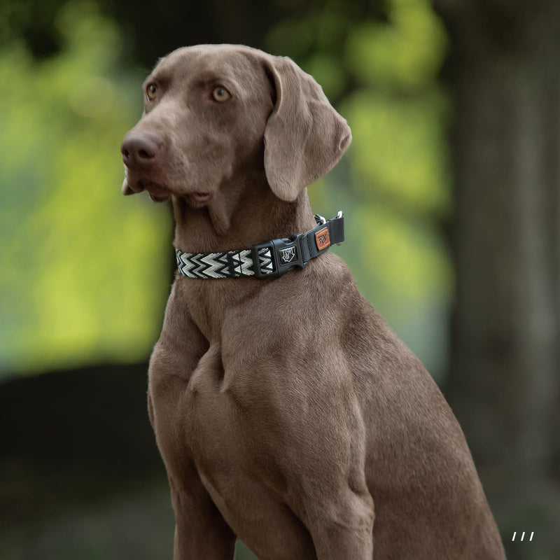 ANDA Martingale Collar for Dogs, Double-Layered Composite Material with Buckle,No-Pull Training Collar for Easy Control with no Choking (Chevron Black, Medium) Chevron Black - PawsPlanet Australia