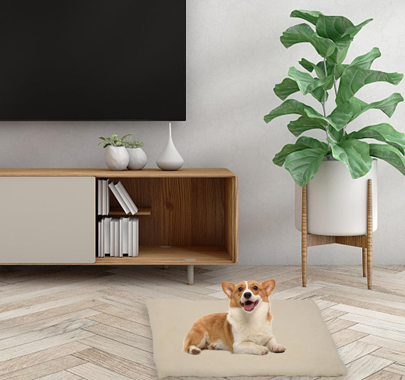 Pet Stroller Pad for Small Medium Dogs, Ultra Soft Cat Dog Stroller Mattress Mat 21"X12" Folding Removable Pet Carrier Strolling Cart Pad Cushion, Beige - PawsPlanet Australia
