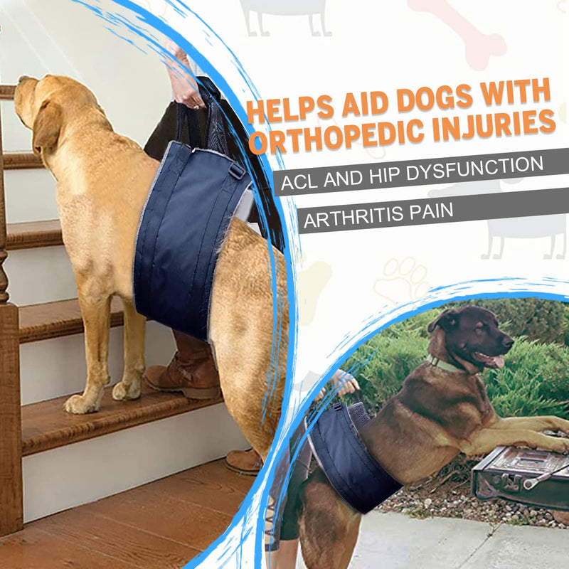 Dog Lift Support and Rehab Harness for Weak Rear Legs, for Canine Aid and Old Cruciate Ligament Rehabilitation, Soft Dog Rear Harness Assist The Dog Who are Senior, Injured, Disabled - PawsPlanet Australia