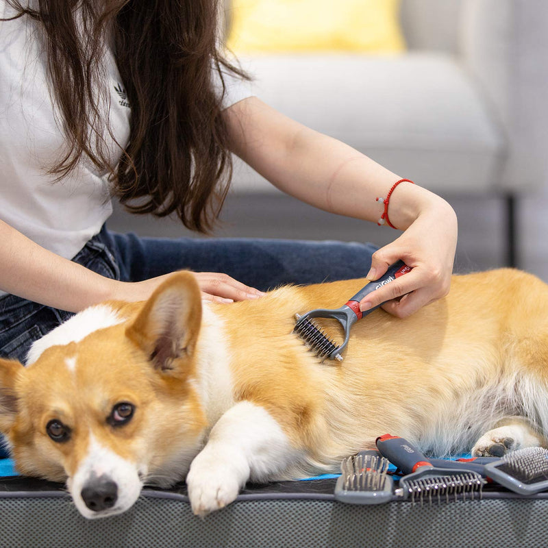 GiGwi Dog Rake for Grooming- 2 Sided Undercoat Pet Grooming Tools-Dog Rakes for Safe and Gentle Shedding and Removing Mats/Duall Head Dematting Comb Brush 11 Teeth for Dogs Cats Kitty and other Pets S ?11 teeth)