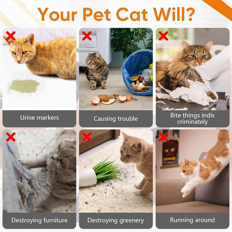 Cat Deterrent Spray 2 Pack, Natural Non-Toxic Plant Based Anti-Scratch & Anti-Marking Spray for Cats & Kittens, Orange Scent Pet Training Aid, Safe for Pets, Indoor Outdoor Furniture, Protector - PawsPlanet Australia