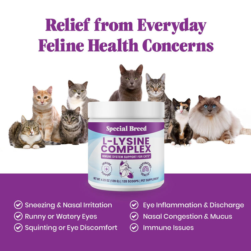 Special Breed L-Lysine for Cats and Kittens – Immune, Respiratory and Eye Support – Cat Sneezing and Runny Nose Relief – Lysine Powder with Prebiotics, Krill, Bone Broth and DMG – 120 Servings