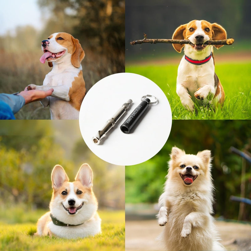 Ami's Delight Dog Whistle Set of 5 | 2PCS Premium Quality Adjustable Dog Whistles with 2 Black Lanyards and a Dog Clicker | Ultrasonic Dog Whistle to Stop Barking Neighbors Dog - PawsPlanet Australia