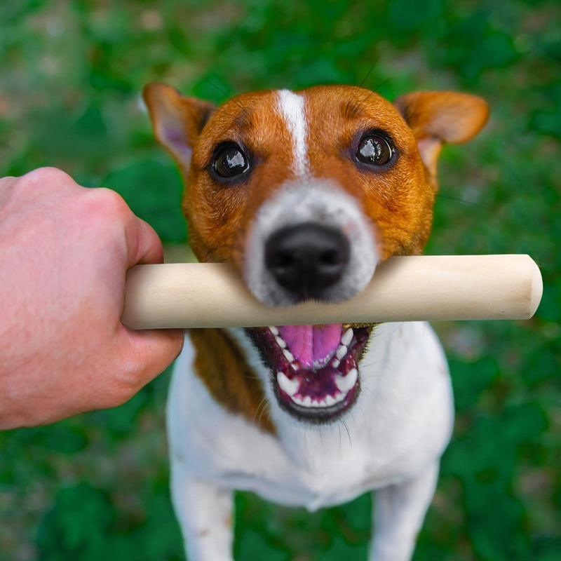 4 Pieces Coffee Wood Stick for Dogs Healthy Dog Chew Sticks Long Lasting Wood Chews for Dogs Natural Wood Bones for Dogs Wooden Aggressive Chewers for Dogs for Pet Dog Teeth Training - PawsPlanet Australia