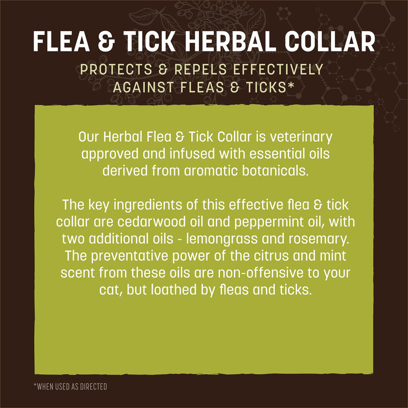 Earth Animal Apothecary Natural Flea & Tick - Herbal Collar for Cats & Kittens - 1 Collar