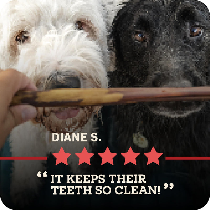 Redbarn Premium Bully Sticks for Dogs - 7 Inch, 6 Count - Long Lasting, Rawhide-Free, Slow Roasted, Low Odor & Highly Digestible, Single Ingredient Chews & All-Natural Dental Treats for Chewers 7" 6 Count (Pack of 1) - PawsPlanet Australia