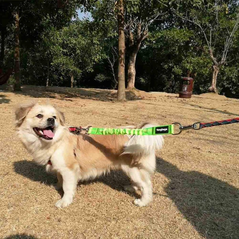 Yangbaga Dog Leash Extender, Shock Absorber Bungee Leash Attachment, Durable Nylon Dog Tie Out Extension with Stainless Steel Swivel Clips Green for dogs < 20lbs - PawsPlanet Australia