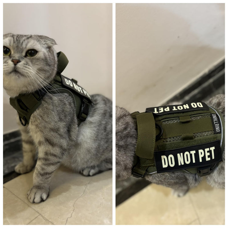 Tactical Dog and Cat Harness for XS and Small Puppy, Air Pet Vest No Pull with Reflective Do Not Pet Patches, Breathable Dog Molle Vests for Training Walking Hunting Green S - PawsPlanet Australia