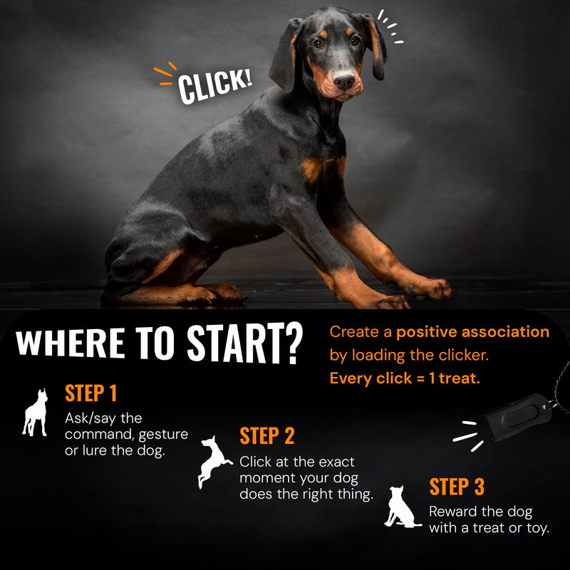 Black Dog Clicker with Necklace - Clickers for Pet Training - Dog Training & Behavior Aids Easy to Carry with You Anywhere - Teach Your Dog Tricks or Reward His Behavior 1 Pack Black - PawsPlanet Australia