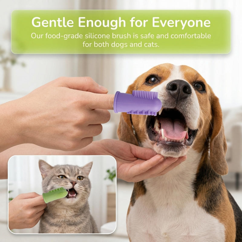Dog Toothbrush Cat Toothbrush, 4-Piece Finger Toothbrush Set, Storage Box Gentle Teeth Cleaning for Dogs and Cats, Effective Plaque Removal