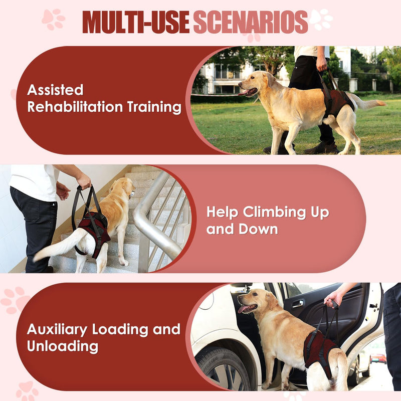 Eyein Adjustable Dog Lifting Harness - Comfortable Dog Sling Hip Support for Back Legs, Soft Hind Assistance Vest for Senior, Injured, Arthritic, Disabled and Aid After Acl Surgery(Red,XL) XL Red