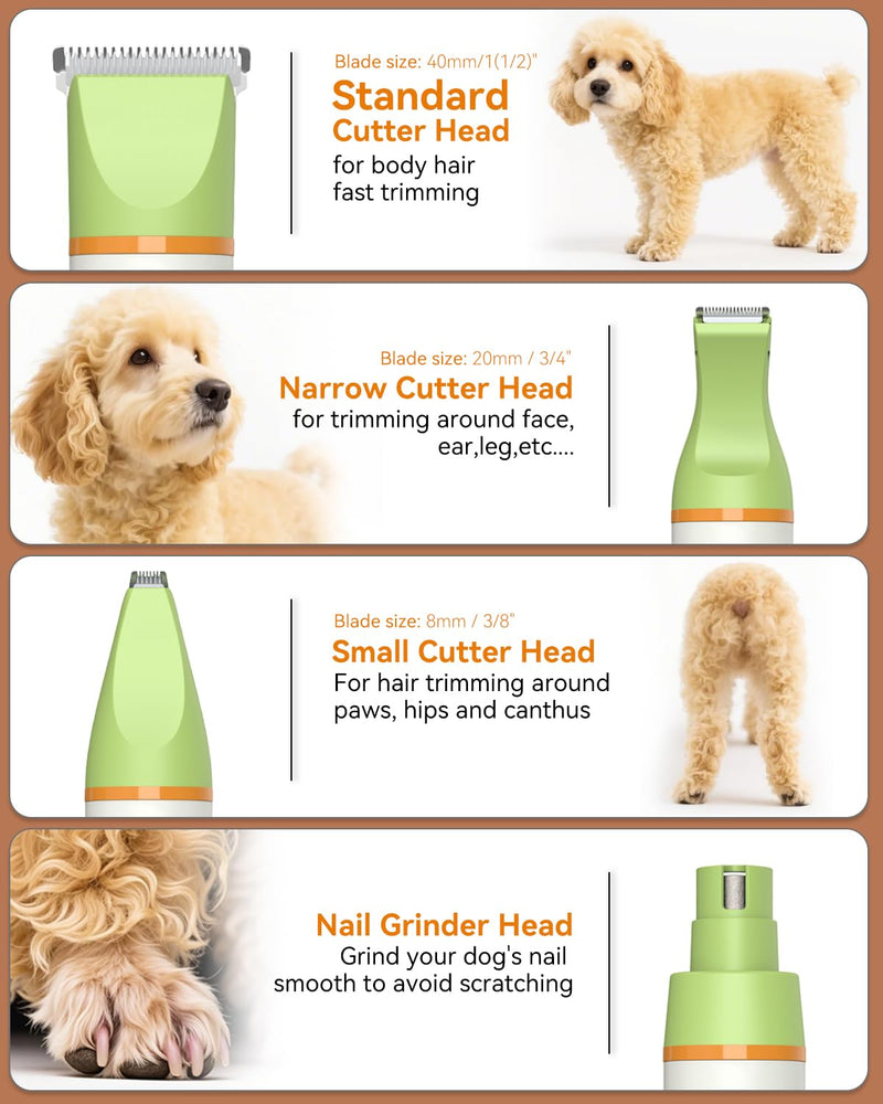 Dog Grooming Kit with Paw Trimmer, All-in-One Low Noise Electric Rechargeable Small Quiet Pet Clippers Foot Dog Hair Shaver with Stainless Steel Scissors and Comb for Dogs at Home (Green) Green