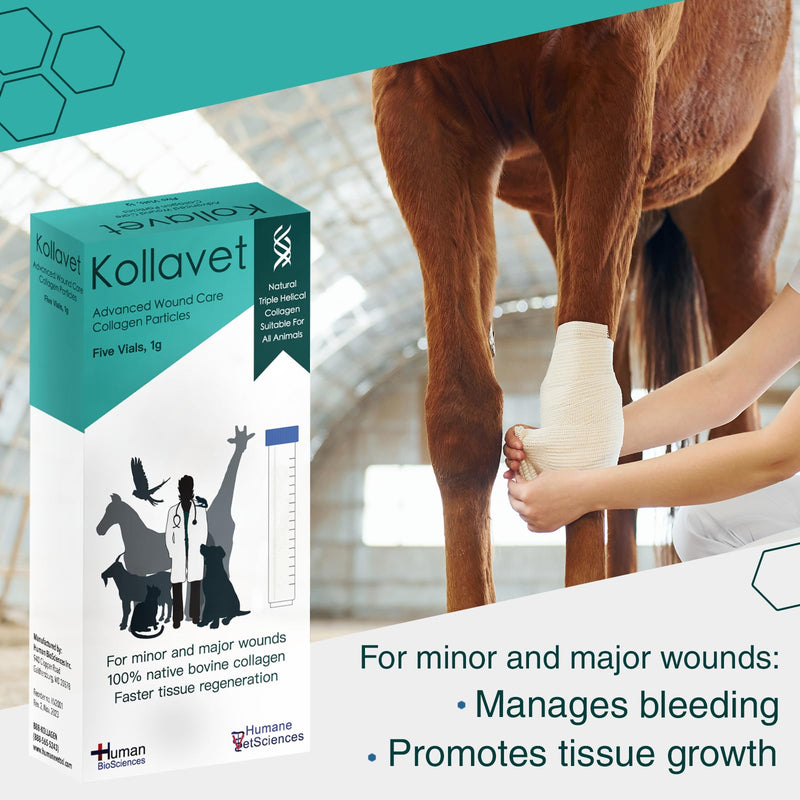 Veterinarian-Recommended Animal Wound Care Dressing for Cats, Dogs, Horses, Reptiles, Pets, and Working Animals (1 Gram Vials) 1 Gram Vials - PawsPlanet Australia