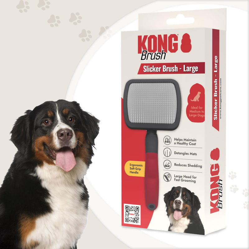 KONG Large Slicker Brush – Removes Loose Hair, Reduces Shedding, Comfortable Non-Slip Grip, Long Metal Pins, for Medium to Large Dogs with Medium to Long Coats, Red/Gray - PawsPlanet Australia