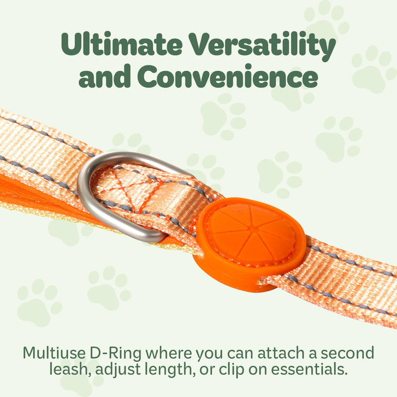 Desired Things Bungee Dog Leash Reflective Training Leash with Shock Absorbent Spring, Emergency Pull Handle, Collar Latch, D-Ring Buckle for Dog Treats, Poop Bags, Puppy Essentials - Pink and Orange - PawsPlanet Australia