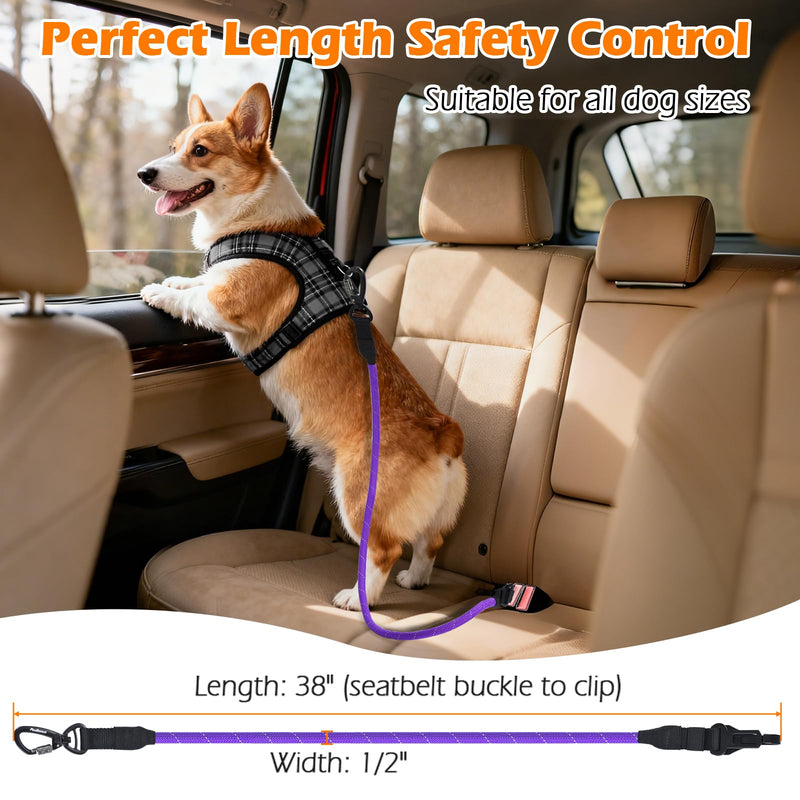 PetBonus Dog Seat Belt for Car, Durable Rope Dog Car Harness Seatbelt for Vehicle, Pet Tether Safety Restraint with Heavy Duty Buckle Hook Latch Lockable Clip for Small Medium Large Breeds (Purple) Purple