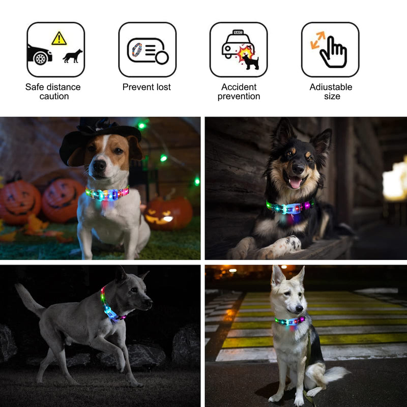 Light Up Dog Collars,LED Dog Collar Rechargeable Waterproof,2-in-1 Buckle Type Glow Collar for Medium Large Dogs- M(10-17 * 0.98 inch can be Crop) Bohemian Orange M(10-17*0.98 inch can be Crop） - PawsPlanet Australia