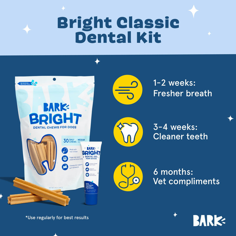 Barkbox Bright Original Dog Dental Kit, 30 Teeth Cleaning Chew Sticks & Toothpaste - Medium Breeds - PawsPlanet Australia