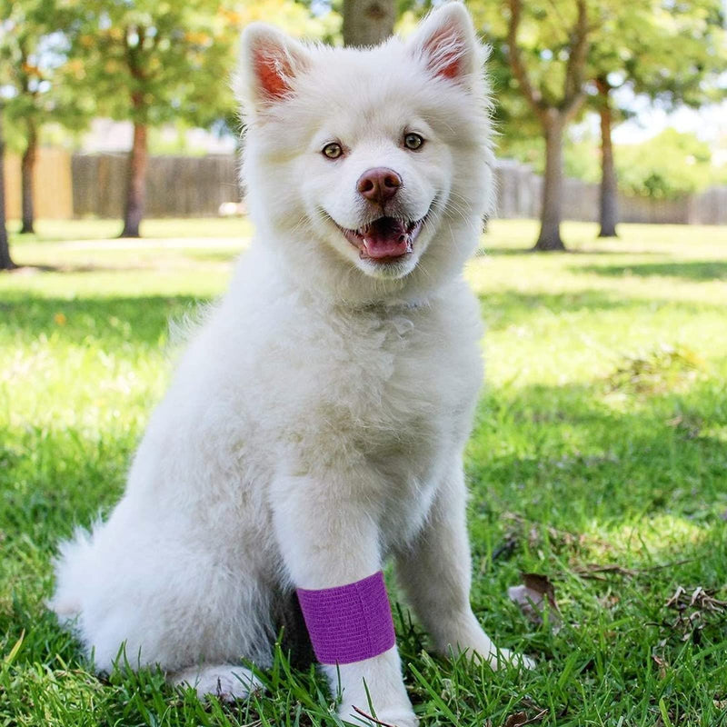 Juvale Self-Adherent Cohesive Bandage Wrap - Joint Support & Vet Wrap for Horses - Versatile First Aid & Pet Bandage - Athletic Compression & Stretch Tape - 3 in x 6 yd, Pack of 12, 6 Colors 3 Inch x 6 Yards - PawsPlanet Australia