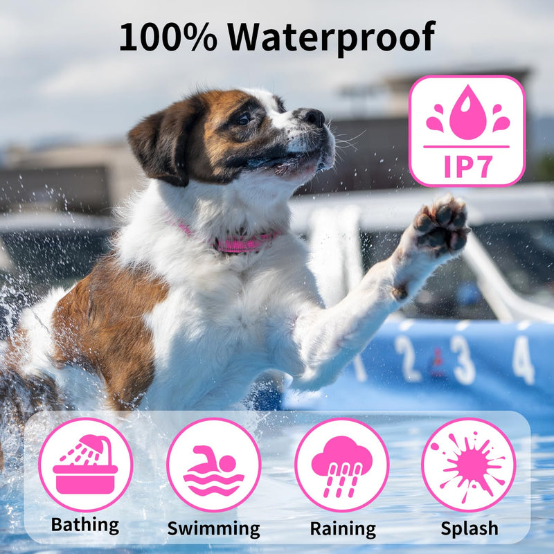 No Shock Dog Training Collar with Remote 3300ft Range, Vibrating Dog Collar, Vibration Collar for Small Medium Large Dogs, 9 Style Tones and Vibration Collar - PawsPlanet Australia
