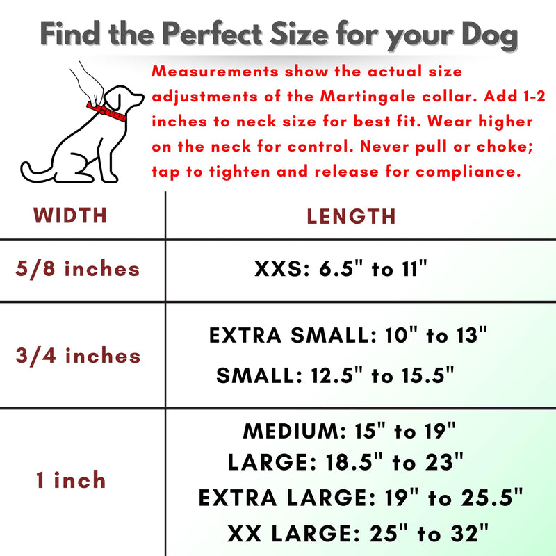 Martingale Collar for Dogs, Biothane, Stainless Steel Hardware, No Pull, Made in The USA, Professional Grade, Medium, Pink - PawsPlanet Australia