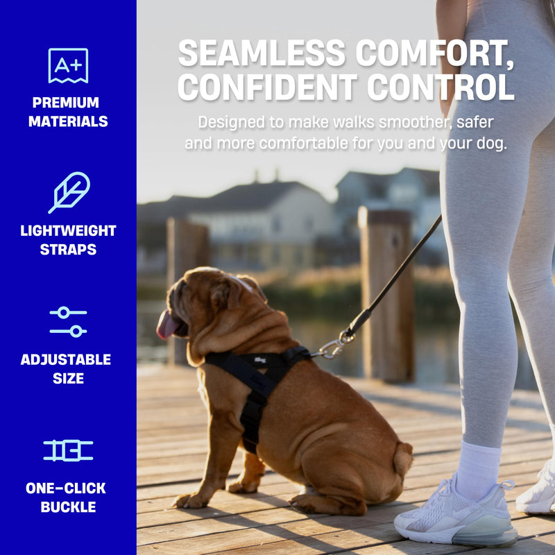 DF Co. Dog Harness | Chafe Resistant Webbing, Adjustable Neck & Chest, and Heavy Duty D-Ring | Sturdy, Comfortable, Easy to Use | Sky Blue, Size S Small - PawsPlanet Australia