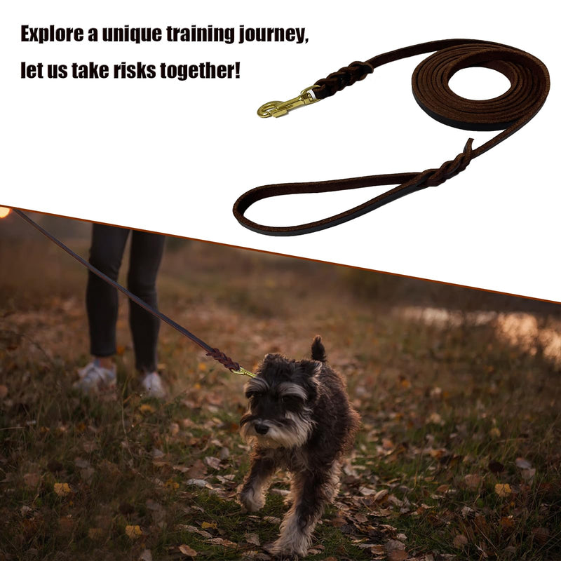 LWBMG Long Leather Dog Leash 10ft, Heavy Duty Dog Leash, Strong Sturdy Genuine Leather Braided Dog Leash, Soft and Comfortable Leather Leash for Medium and Small Dogs Training 10ftx1/2'' Brown - PawsPlanet Australia