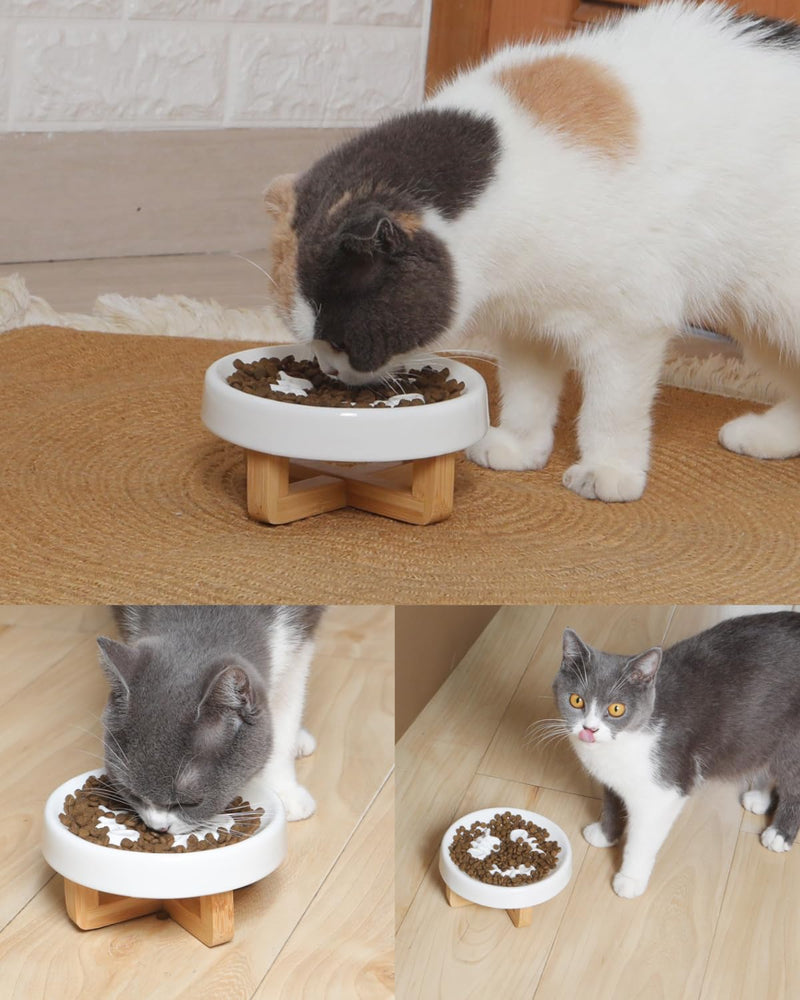 Ceramic Cat Dog Feeder, Slow Feed Bowl with Stand, 2.5'' High, 5.2'' Wide, Whisker Friendly, Easy to Clean, for Cats and Small Dogs Small Fish Bone-White - PawsPlanet Australia