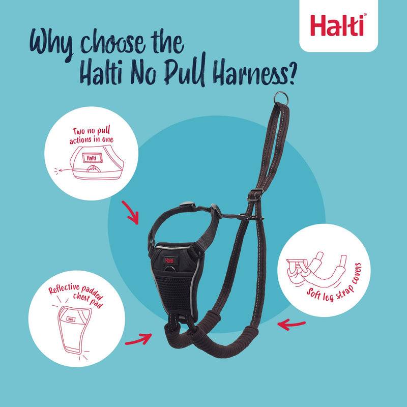Halti No Pull Harness - Stop Your Dog Pulling on the Leash. Adjustable, Lightweight and Easy to Use. Reflective Dog Training Harness for Large Dogs (Size L, Black) - PawsPlanet Australia