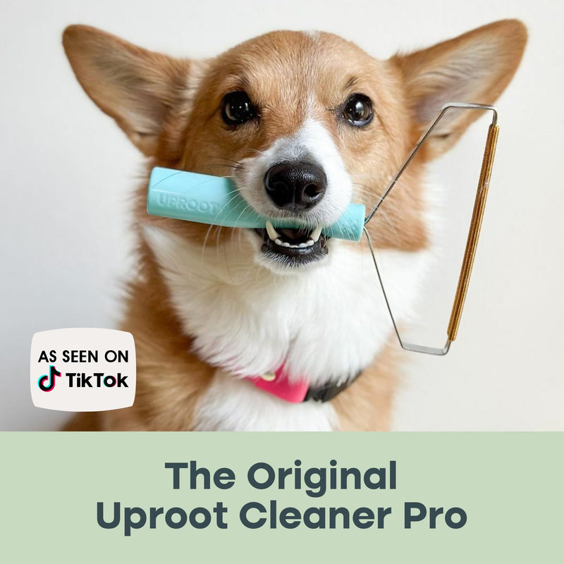 Uproot Cleaner Pro Pet Hair Removal Tool -2 Pack-Special Dog Hair Remover Multi Fabric Edge and Carpet Rake by Uproot Clean-Cat Fur Remover for Couch, Pet Towers, Rugs, Cat Mats and Trunks & Much More Pro 2 Pack - PawsPlanet Australia