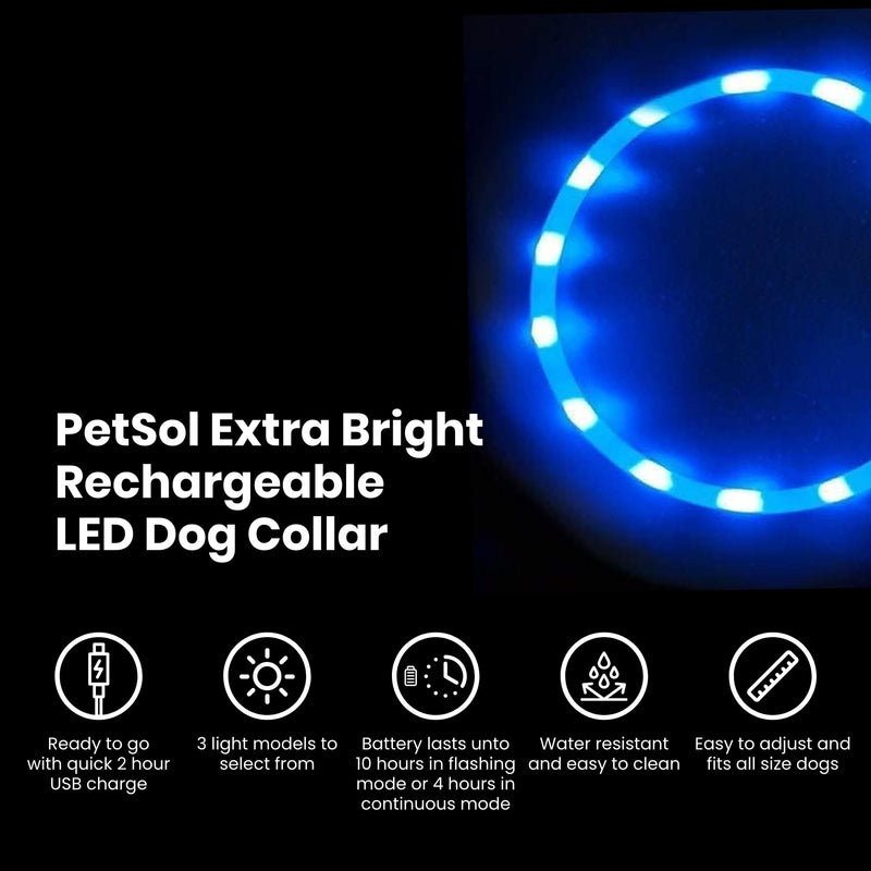 PetSol Light Up Dog Collar Blue - Extra Bright LED Collar - USB Rechargeable - Cut to Fit (20cm to 70cm) with Static or Flashing Mode - Weatherproof, Easy Clean, High Visibility & Full Guarantee - PawsPlanet Australia