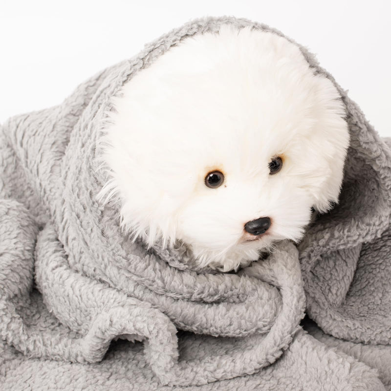 2 Blankets, Dog Cat Pet Blanket, Soft Warm Fleece, for Puppy, Small Dogs or Kitten, Cats, Plush Fuzzy Blanket for Bed, Sofa, Travel (60" x 40", 2/Pack, Beige+Light Gray) Beige+lightgray 60"L x 40"W, 2/Pack - PawsPlanet Australia