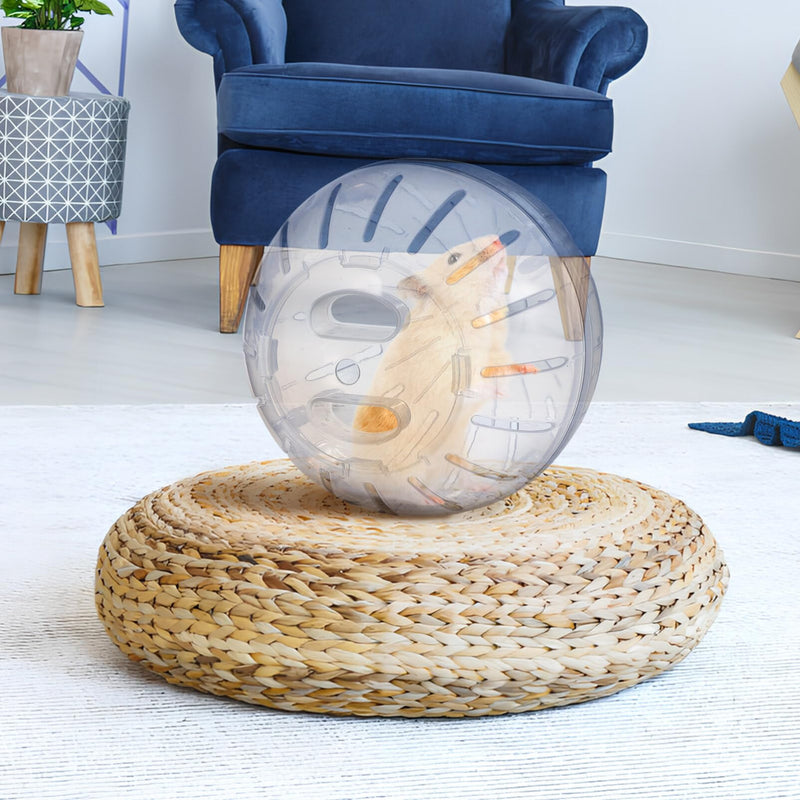 Kisangel 1pc Hamster Ball Rat Balls to Run Around Small Animal Running Ball Hamster Exercise Toys Small Pet Activity Supply - PawsPlanet Australia