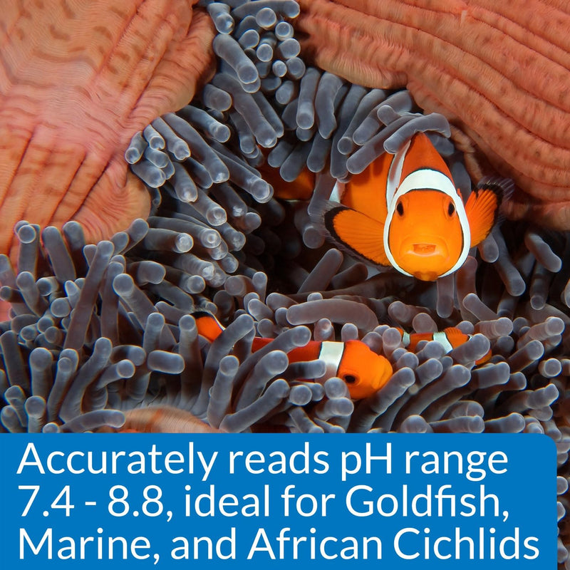 Api High Range Ph Test Kit For Fresh & Saltwater - PawsPlanet Australia
