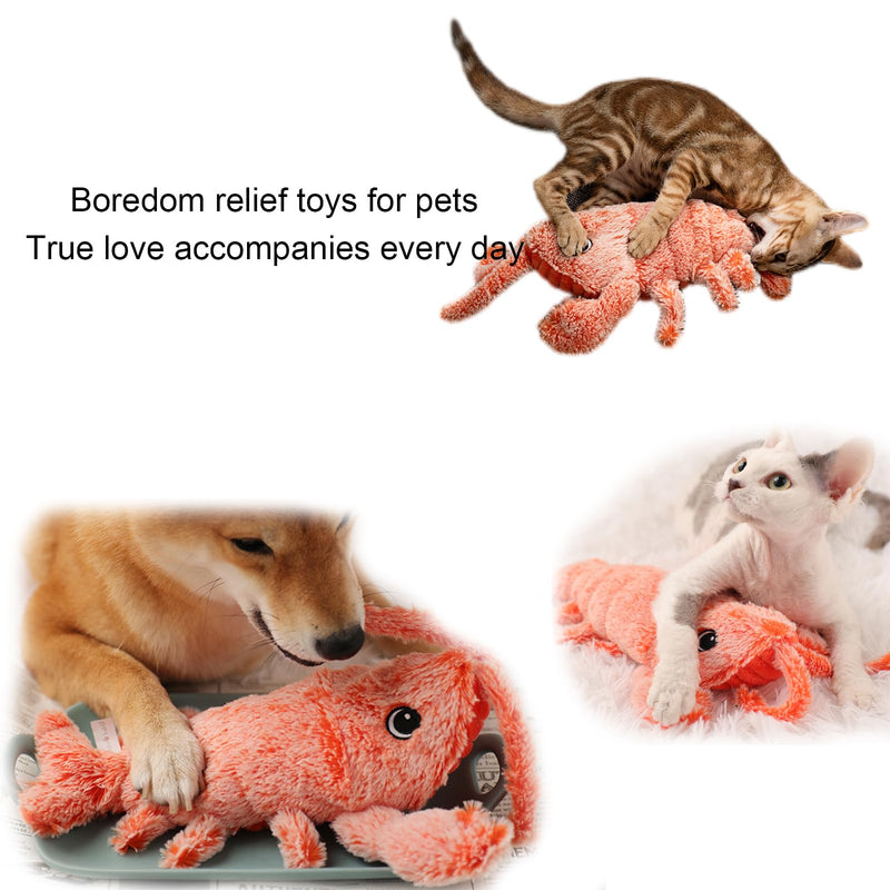 Flopping Lobster Toy for Cats and Small Dogs - Catnip Infused Kitten Toys for Indoor Fun - Chew and Kicker Toy, USB-Rechargeable and Washable Design, Orange