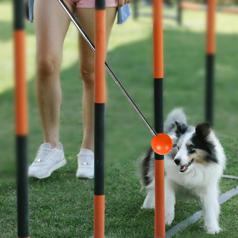 Training Kit - 1 Target Stick, 1 Training Clicker, 1 Whistle - Dog Training Equipment Tools, Cat Toilet Trainer Kit, Agility Training Lure Course For Dogs, Kitten Puppy Behavior Aids Trick (A Type) B Type - PawsPlanet Australia