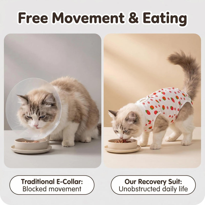 Cat Recovery Suit Post Surgery, Soft Breathable Surgical Onesie for Cats & Kittens, Alternative for Spay Recovery & Wound Protection