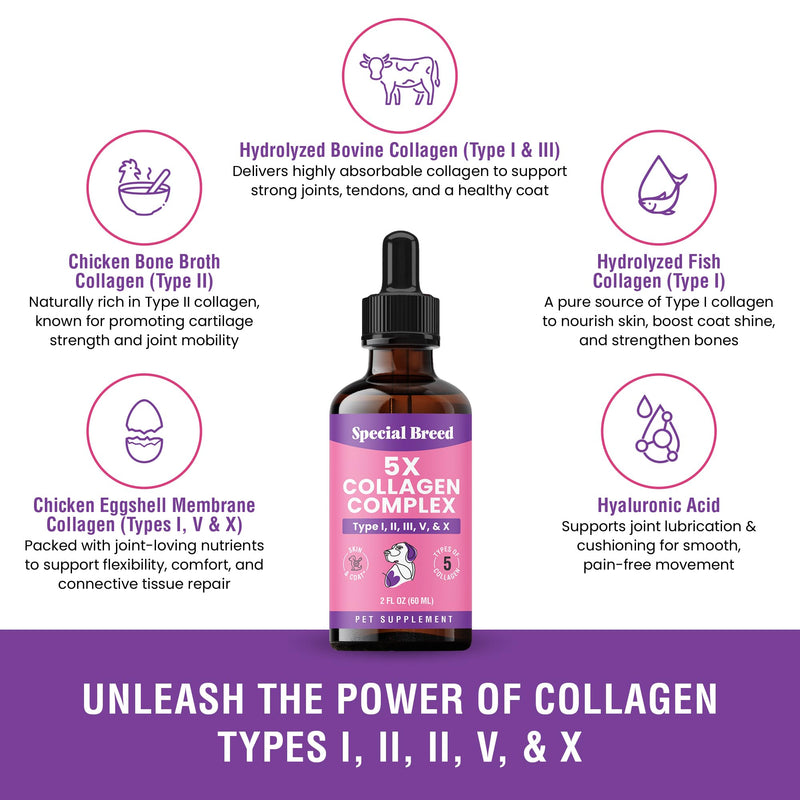Premium Collagen for Dogs - Liquid Support for Joints, Skin, Coat, Bone, Immune System & HIPS - Collagen Supplement - Made in USA - 2oz 2 Ounce