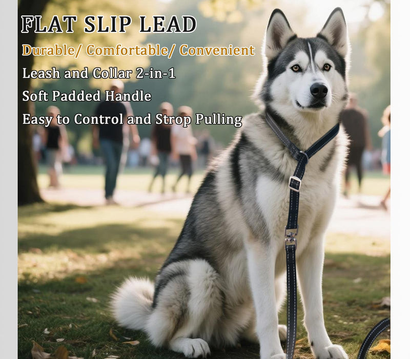 Slip Leash Dog Training Lead, Reflective Tangle-Free Adjustable No Pull Control Leash, 6 FT 3/4" Flat Wide Nylon with Padded Handle for Small Medium Dogs, Purple 3/4" x 6ft - PawsPlanet Australia